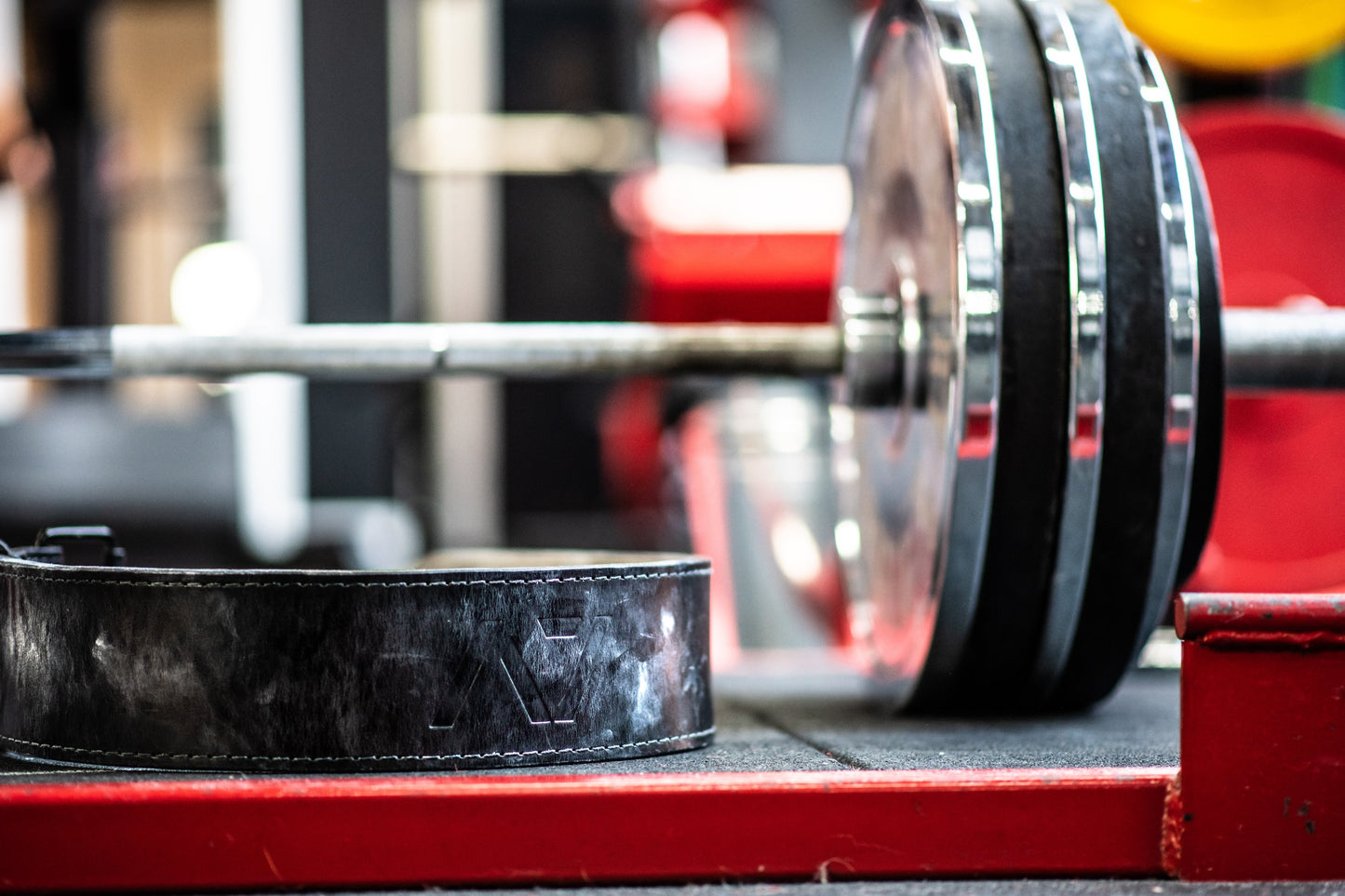 What is the best powerlifting belt to buy?
